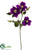 Clematis Spray - Violet - Pack of 12