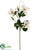 Clematis Spray - White - Pack of 12