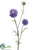 Scabiosa Spray - Lavender - Pack of 12