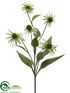 Silk Plants Direct Coneflower Spray - Green - Pack of 6