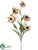 Coneflower Spray - Rust - Pack of 6