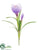 Silk Plants Direct Crocus Spray - Amethyst - Pack of 12