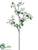 Dogwood Spray - White - Pack of 6