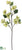 Dogwood Branch - Green - Pack of 12