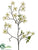 Dogwood Branch - Cream - Pack of 6