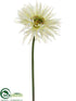 Silk Plants Direct Gerbera Daisy Spray - Cream - Pack of 12