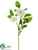 Dahlia Spray - Cream White - Pack of 12