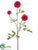 Dahlia Spray - Beauty - Pack of 12