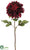 Dahlia Spray - Burgundy - Pack of 12