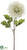 Dahlia Spray - Cream - Pack of 12