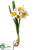 Daffodil Spray - White Yellow - Pack of 12