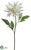 Spider Dahlia Spray - Cream Yellow - Pack of 6