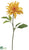 Spider Dahlia Spray - Yellow - Pack of 6