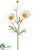 Field Daisy Spray - White - Pack of 24