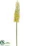 Silk Plants Direct Eremurus Spray - Green - Pack of 12