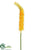 Eremurus Spray - Yellow - Pack of 12