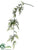 Hanging Asparagus Fern Spray - Green - Pack of 6