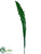 Bird Nest Fern Spray - Green - Pack of 12