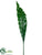 Bird Nest Fern Spray - Green - Pack of 12