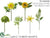 Flower Spray Assortment - Yellow Green - Pack of 2