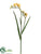 Freesia Spray - Yellow Gold - Pack of 12