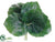 Galax Leaf Bundle - Green - Pack of 12