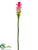 Ginger Flower Spray - Fuchsia - Pack of 12