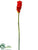 Ginger Flower Spray - Red - Pack of 12