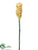 Ginger Flower Spray - Yellow - Pack of 12