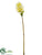 Silk Plants Direct Ginger Flower Spray - Cream Yellow - Pack of 12