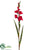 Gladiolus Spray - White - Pack of 12