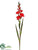 Gladiolus Spray - Red - Pack of 12