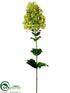 Silk Plants Direct Hydrangea Spray - Lime - Pack of 12