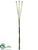 Horsetail Bundle - Green - Pack of 12