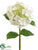 Hydrangea Spray - White - Pack of 12