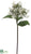 Hydrangea Spray - White - Pack of 6