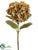 Hydrangea Spray - Green Coffee - Pack of 6