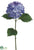 Hydrangea Spray - Delphinium Helio - Pack of 12