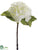 Hydrangea Spray - Cream - Pack of 12