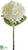 Hydrangea Spray - Cream - Pack of 12