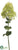 Hydrangea Spray - Green - Pack of 12