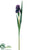 Iris Spray - Purple - Pack of 12