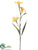 Iris Spray - Yellow - Pack of 12