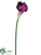 Calla Lily Spray - Eggplant - Pack of 12