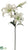 Casablanca Lily Spray - White - Pack of 12