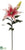 Casablanca Lily Spray - Rose - Pack of 12