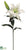 Casablanca Lily Spray - White - Pack of 12