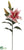 Casablanca Lily Spray - Rose - Pack of 12