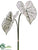 Caladium Leaf Spray - Cream Green - Pack of 12