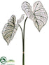 Silk Plants Direct Caladium Leaf Spray - Cream Green - Pack of 12